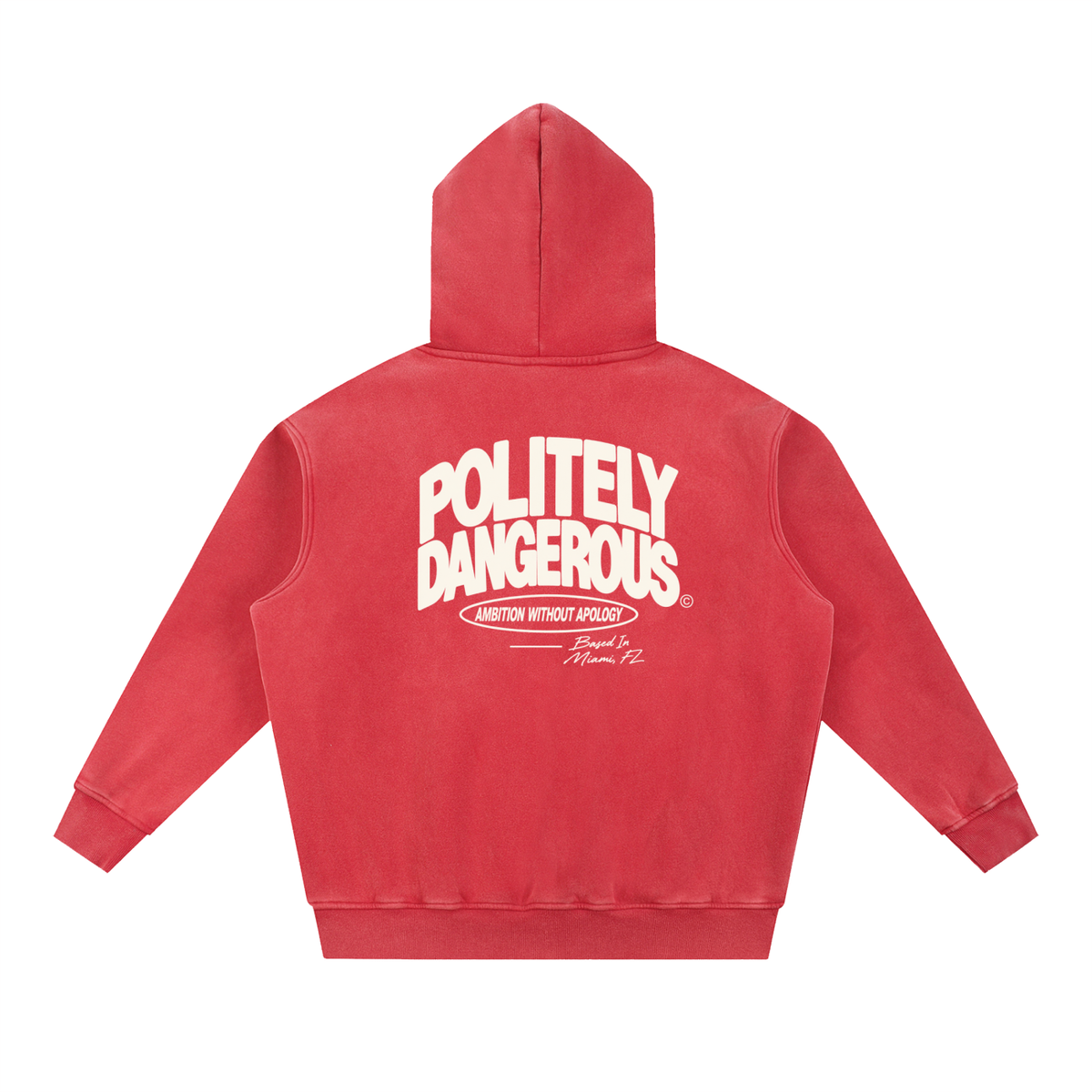 AMBITION WITHOUT APOLOGY HOODIE