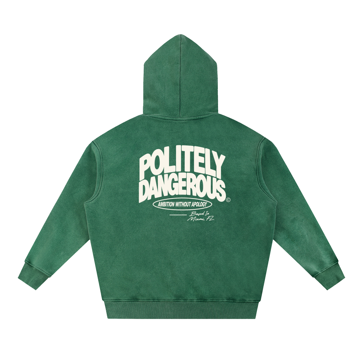 AMBITION WITHOUT APOLOGY HOODIE