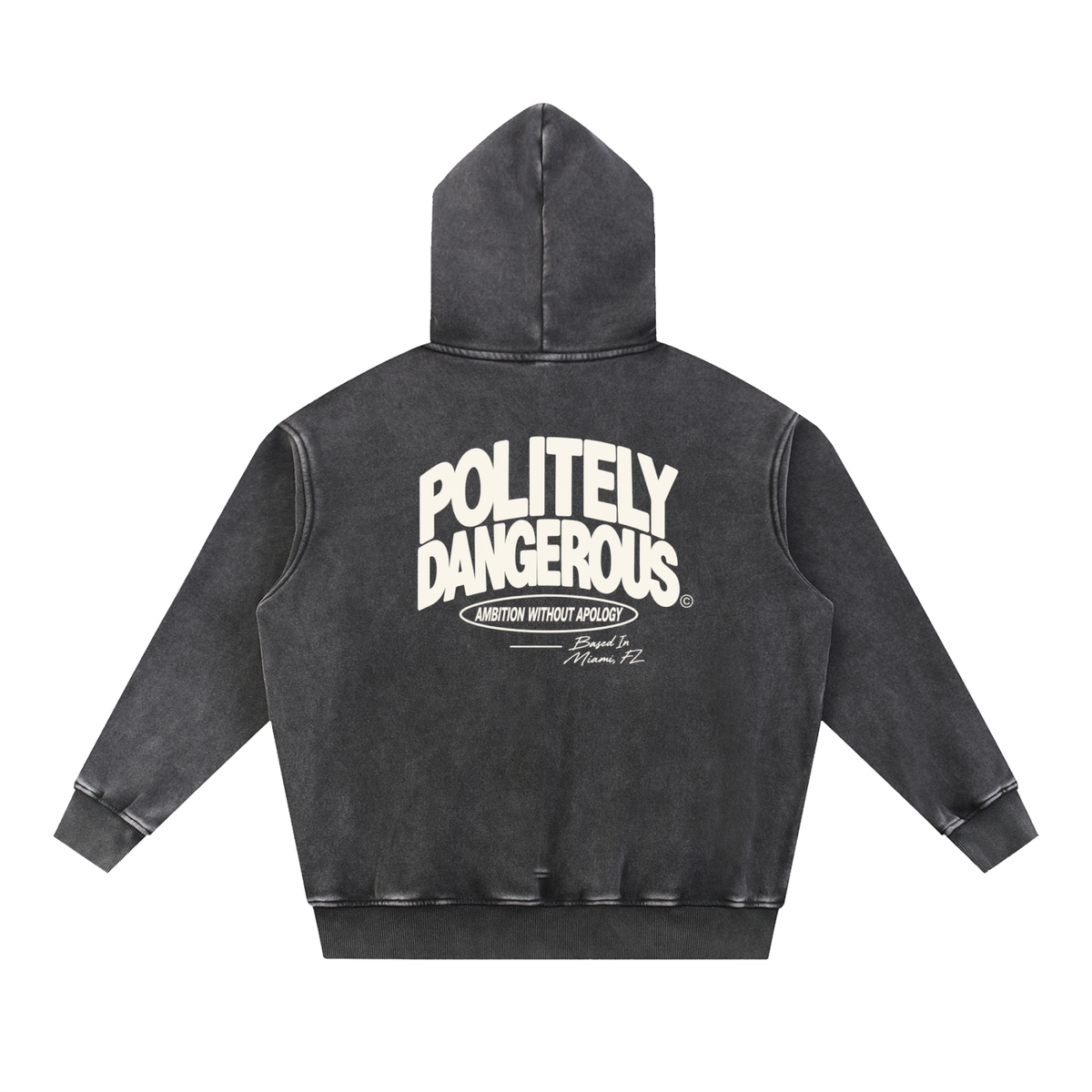 AMBITION WITHOUT APOLOGY HOODIE