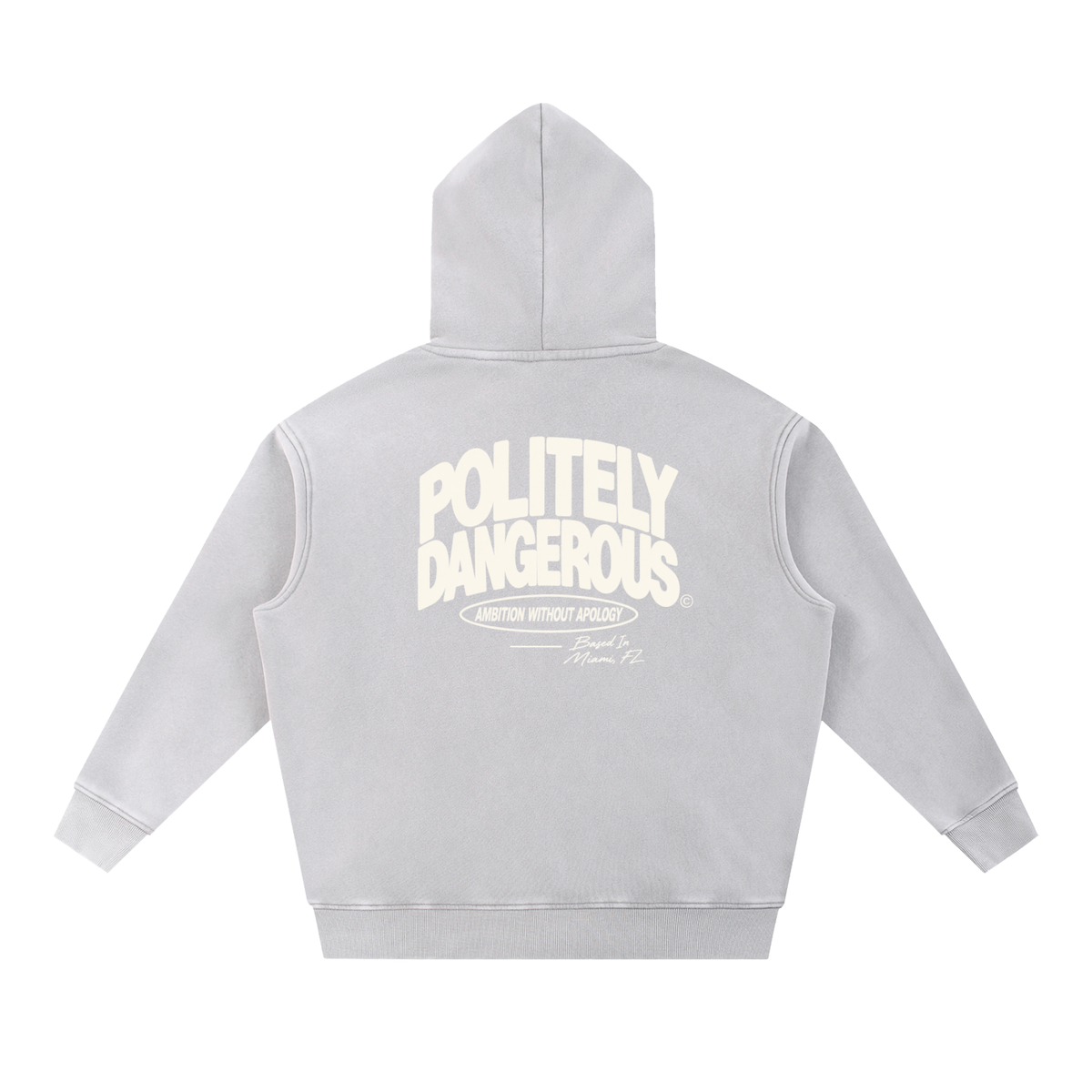 AMBITION WITHOUT APOLOGY HOODIE