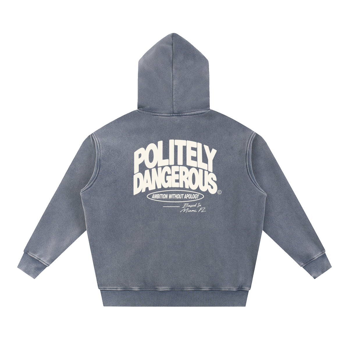 AMBITION WITHOUT APOLOGY HOODIE